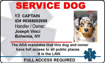 Pet Id Card Template from servicedogpatches.com